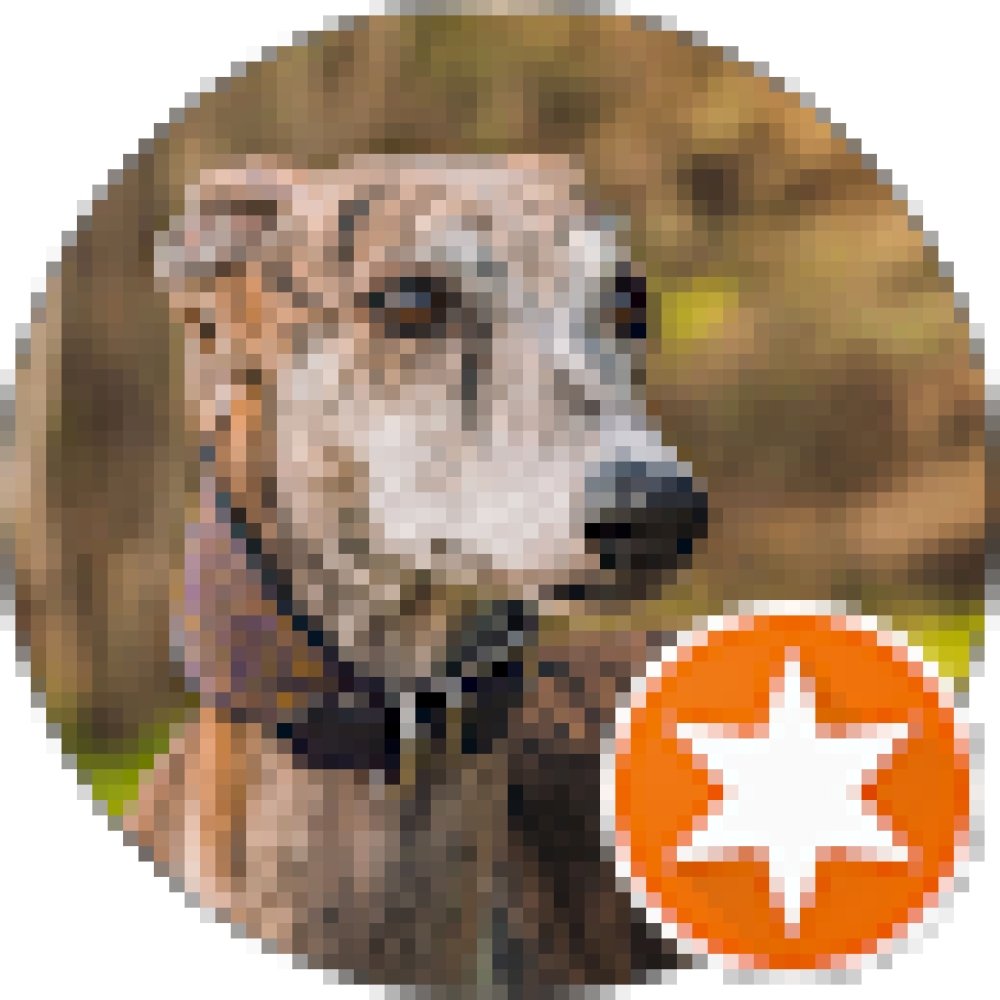 pfp3